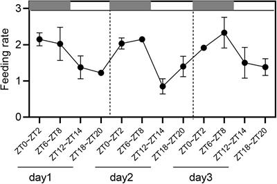 The Discovery of Circadian Rhythm of Feeding Time on <mark class="highlighted">Digestive Enzymes</mark> Activity and Their Gene Expression in Sinonovacula constricta Within a Light/Dark Cycle